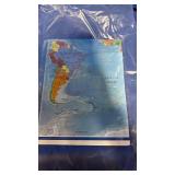 Wall Classroom Map of the World - Retail: $25