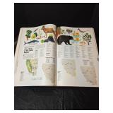 National Geographic Atlas of North America: Space Age Portrait