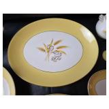 Century Semi Vitrious Autumn Gold Serving Dishes  9pc.