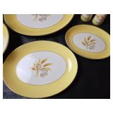Century Semi Vitrious Autumn Gold Serving Dishes  9pc.