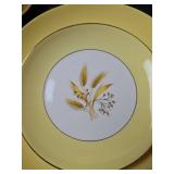 Century Semi Vitrious Autumn Gold Dinnerware Set 48pc/8 Place Setting