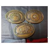 First Federal Savings Bank Newton Kansas and Hesston Belt Buckles