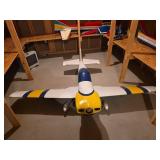 CAP 231 EX RC Model Aircraft