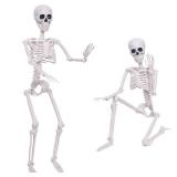 3Ft Halloween Skeleton and 16In Life Size Skeleton Creepy Posable Skeleton Full Size Skeleton with Movable Joints for Outdoor Indoor Halloween Decorations Teacher Science Middle School High School - R