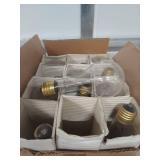 Clear Glass Light Bulbs with Brass Base