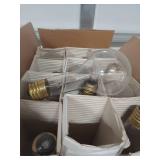 Clear Glass Light Bulbs with Brass Base