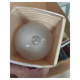 Sylvania 300W Light Bulbs