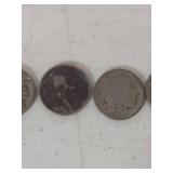 Buffalo Nickel Collection