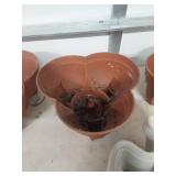 (6) Planter Pots with Drainage