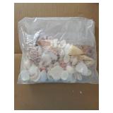 Super Z Outlet Mixed Ocean Beach Fairy Garden Assorted Seashells Marine Life for Decorations, Arts & Crafts, Party Favors Collection (some piece broken) - Retail: $10