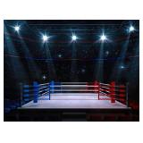 Stadium Lighting 3D Professional Banner Boxing Arena Photo Background Sports Match Blur Spectator Photography Backdrop Boy Men