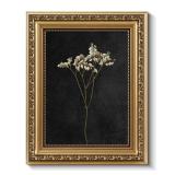 ARPEOTCY Vintage Gold Framed Wall Art, Dark Dried Wildflower Paintings, Small Canvas Prints Artwork with Frame, Classical Victorian Wall Decor for Living Room Bathroom Bedroom Shelf, 8x10 inch