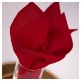 APPEARS NEW - Riegel Cloth Napkins - Red - 24 ct.