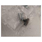 Amerock Bp53005 Edona 1-1/4  Mushroom Cabinet Knob - Bronze