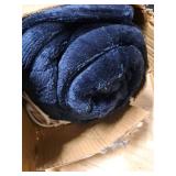 DANENOSA Electric Heated Blanket Queen Size 84ftftx90ftft Soft Flannel and Sherpa Electric Blanket with 10 Heating Levels, Automatically Shut Down After 8h with Overheat Protection Machine Washable