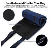 AIITLE Dog Sling for Small Dogs - Adjustable Breathable Reflective Lift Harness, Hind Leg Support for Senior Dogs with Weak Legs, Arthritis and Post-ACL Surgery (S, Navy-Blue)