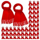 Kigeli 48 Pcs Winter Scarves Bulk Cashmere Feel Warm Scarf with Tassel Edge Soft Scarf for Men Women Unisex Donation Unisex (Red)