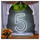 LED Neon Signs Number 5 Birthdays Decor Neon Lights Party USB Plus Battery Case Light up your babyfts birthday with our Neon Number Five Sign (Number 5)