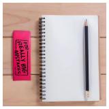 Rhode Island Novelty Jumbo Big Mistake Wedge Eraser