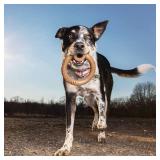 Lumabone Ring Stuffer Durable Chew Toy for Aggressive Chewers, Dog Toys for Aggressive Chewers, Dog Toys, Real Bacon, Made in USA, Small