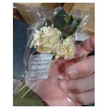 Suncalla 5 Pcs Bridal Baby Breath Hair Pins and Comb Sage Green Wedding Hair Accessories Hydrangea Eucalyptus Dried Flower for Bridesmaids Women Girls