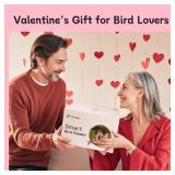 TT Nature Bird Feeder with Camera, Upgraded 1.5L Smart Birdhouse Al Identify for 10000 Plus Species, Auto Capture & Real-time Notifications, Ideal Gift for Bird Lovers (Iron Roof)