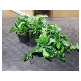 LOYWREE Small Fake Hanging Plant Artificial Potted Plants for Indoor Outdoor Aesthetic - 39in Realistic Faux Hanging Pothos with Ivy Vine for Shelf Decor in Home Office Gardens Greenery (Black Pot)