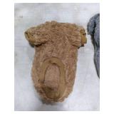 FabriCastle Small Dog Sweaters, 2-Pack Dog Clothes for Small Dogs Male & Cats, Ultra Soft and Warm Pet Coats, Winter Pet Jackets, Doggy Apparel Costumes Outfits