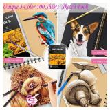Caliart 176PCS Art Supplies Sketching Kit with 100 Sheets 3-Color Sketch Book, Graphite Colored Charcoal Watercolor & Metallic Pencils, Drawing Set Christmas Gifts for Adults Teens Girls Boys Kids