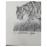 68/300 Siberian Tiger Pencil Sketch by Charles Beckendorf in Black Frame