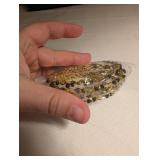 Gold Tone Chain Bracelet with Black Beads