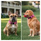 Tactical Durable Dog Collar, Metal D-Ring, Adjustable Heavy Duty Dog Collar with Heavy Quick-Release Buckle for Medium Large Dogs (Hotpink, M) - Retail: $11