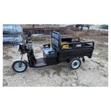 Electric Utility Cart IRET13 Green