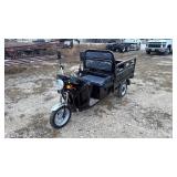 Electric Utility Cart IRET13 Green