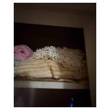 Closet full of blankets and afghan - NBD