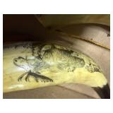 TWO (2) POWDER HORNS (ORE HAS PERCUSSION CASE) BOTH ARE CARVED