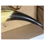 TWO (2) POWDER HORNS (ORE HAS PERCUSSION CASE) BOTH ARE CARVED