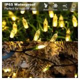 Koxly Christmas Lights, Battery Operated String Lights 18ft 50 LED Mini String Lights, Waterproof Lights with Remote Timer 8 Modes, Indoor Outdoor Garden Party Wedding Xmas Tree Decoration, Warm White