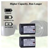Batmax 2Packs NP-FH50 Battery + LCD USB Charger for Sony NP-FH30,NP-FH40,NP-FH50 H Series Batteries;Sony Alpha DSLR A230, DSLR A290, DSLR A330, DSLR A380, DSLR A390, Cyber-Shot DSC-HX1 Handycams