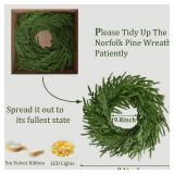 24 Inch Real Touch 2 Pcs Norfolk Pine Wreath Christmas Decorations for Front Door, Artificial Plants Green Christmas Wreath with Lights Home Decor, Xmas Decor for Mantel Wall Holiday Winter Decor