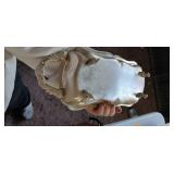 Silver Plated Decorative Dishes