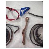 Leather Horse Reins and Nylon Collar Set