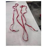 146 in Red Nylon Dog Training Leash