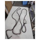 Rainbow Pride Braided Dog Leash 12 ft long