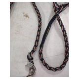 Rainbow Pride Braided Dog Leash 12 ft long