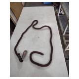 Rainbow Braided Pet Lead 67 in