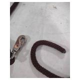 Rainbow Braided Pet Lead 67 in