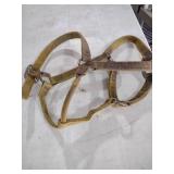 Western horse halter