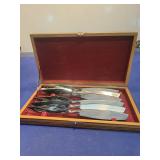 Stainless Steel Knife Set with Wooden Case