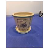 Decorative Primrose Ceramic Flower Pot with Saucer